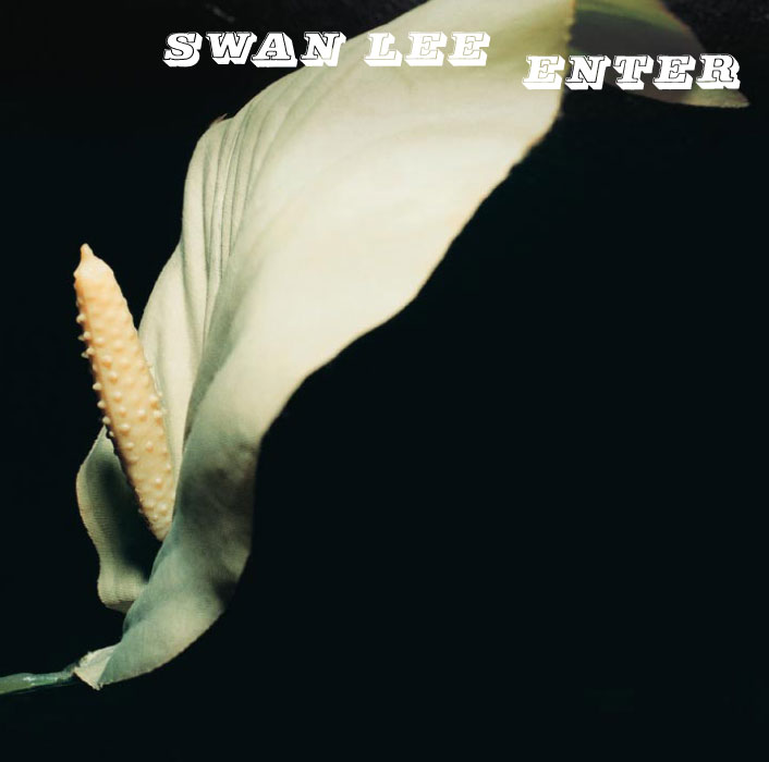 Swan Lee – Enter